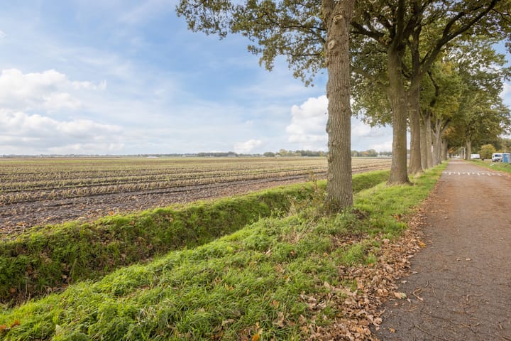 Foto 35 van Laurier 2-B