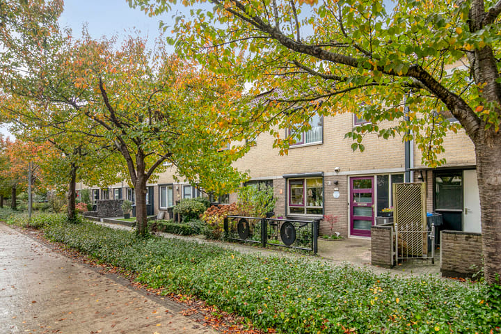 Chopindreef 10 main image