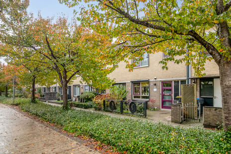 Chopindreef thumbnail