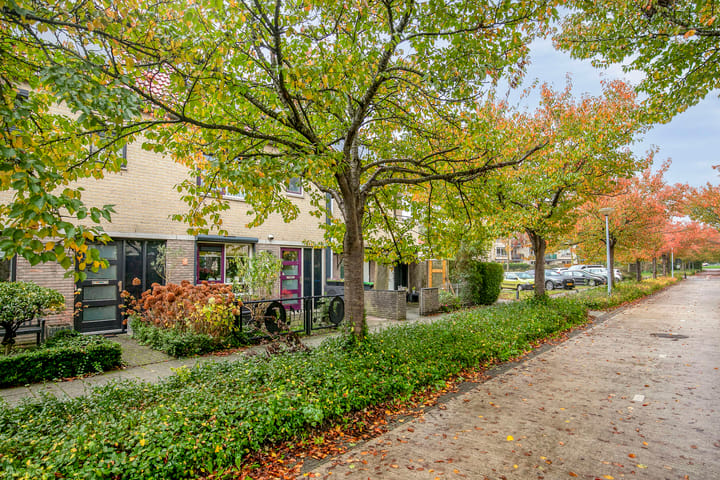 Photo 5 of Chopindreef 10