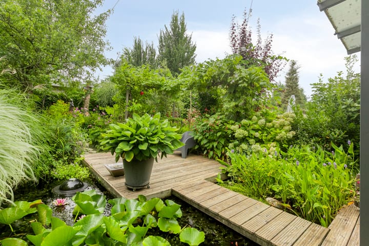 Photo 35 of Waterland 33