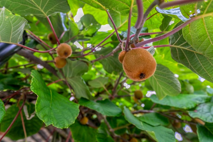 Photo 39 of Waterland 33