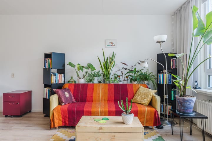 Foto 9 van Achtersteven 9