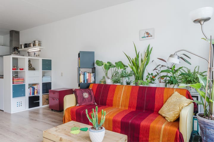 Foto 10 van Achtersteven 9