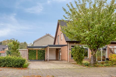 Patrijsstraat thumbnail