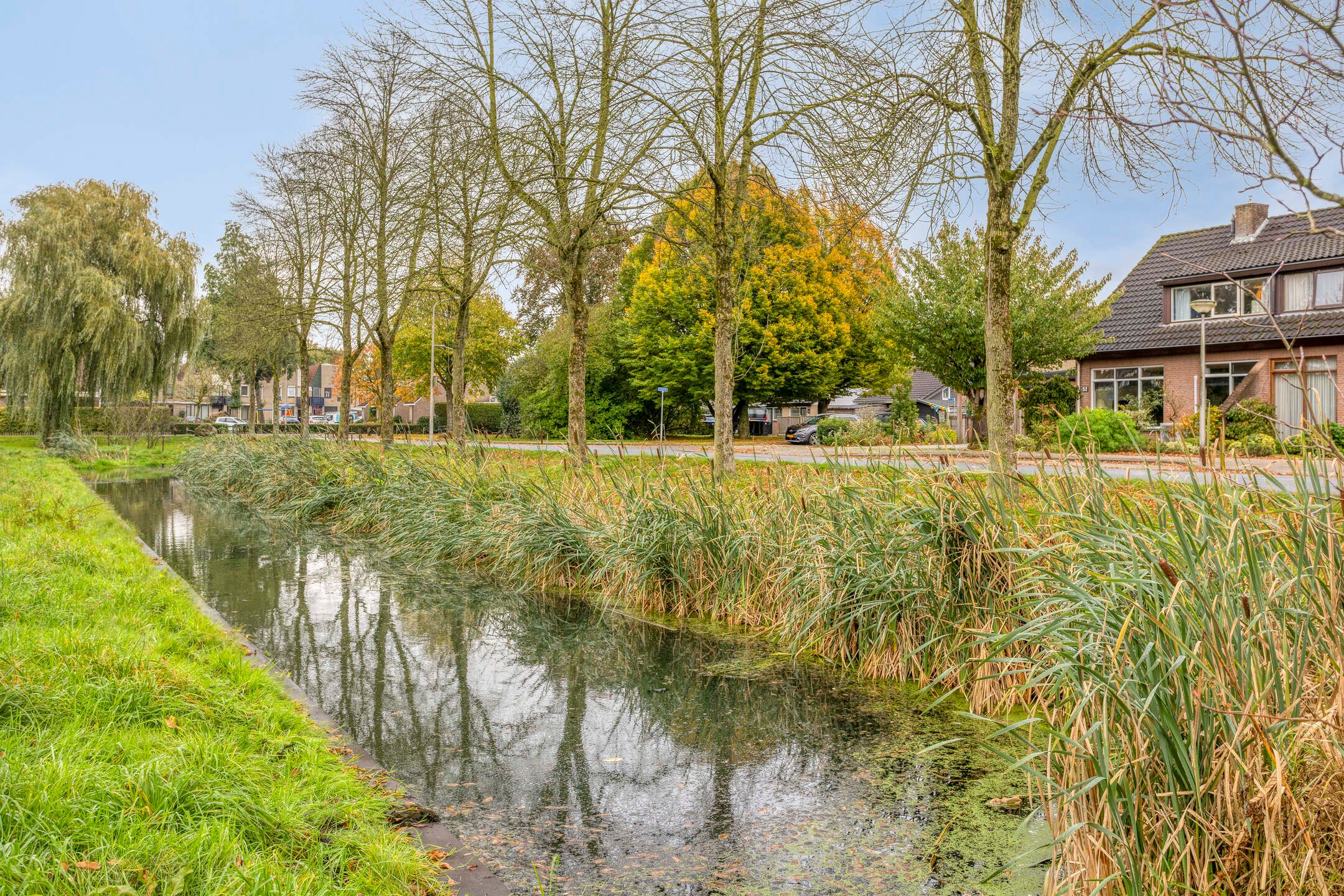 Foto 54 van Patrijsstraat 52