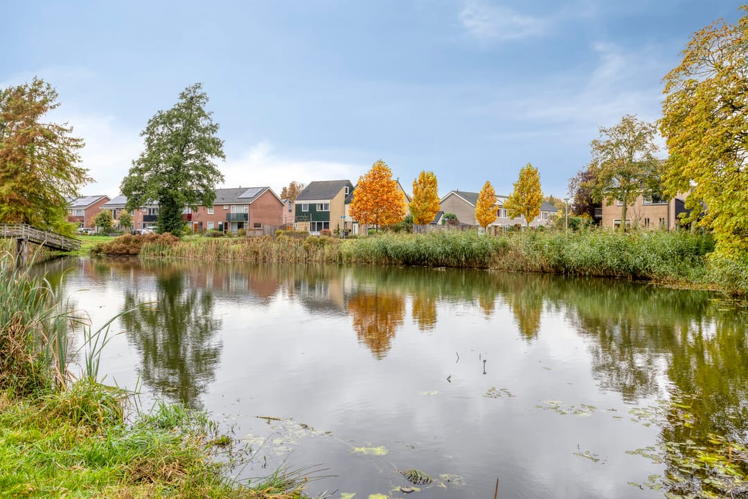 Foto 56 van Patrijsstraat 52