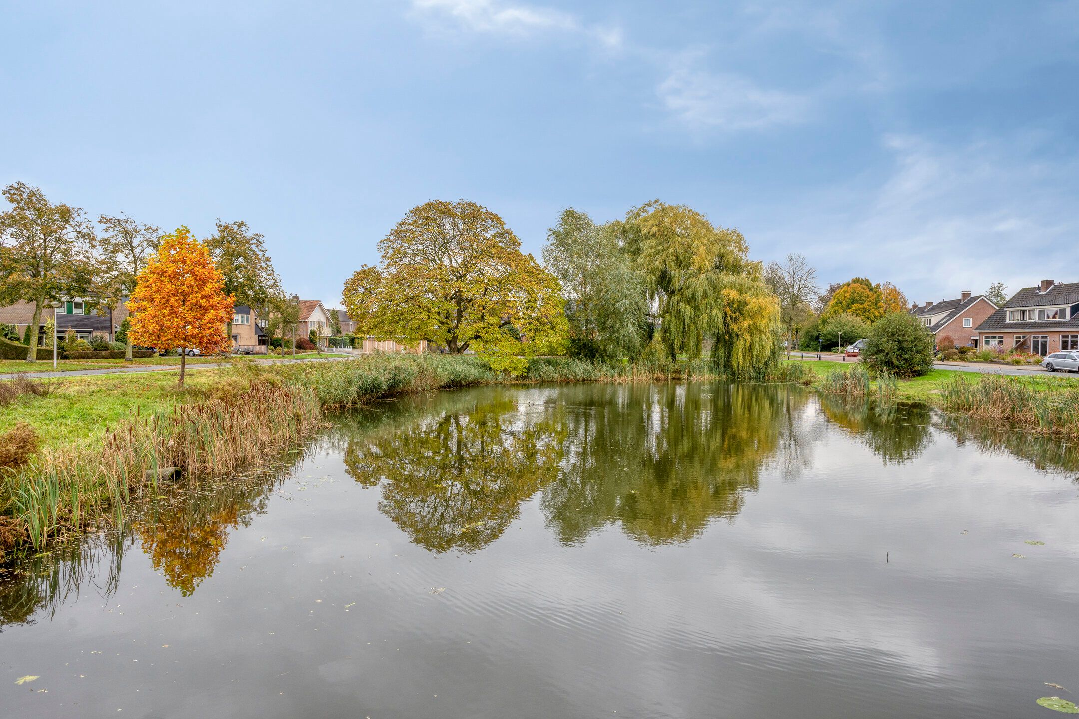 Foto 57 van Patrijsstraat 52