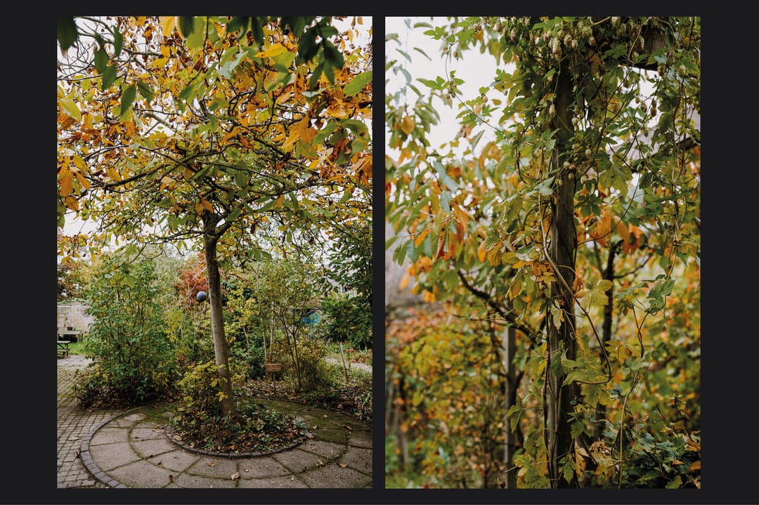 Foto 43 van Houtstraat 19