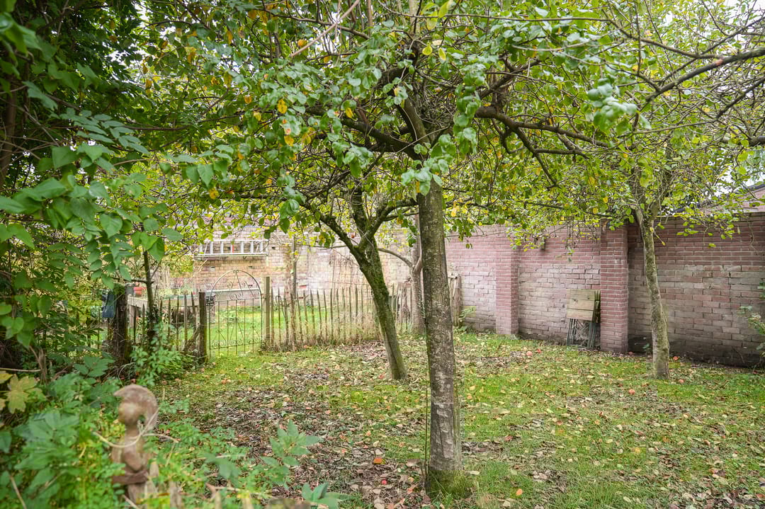 Foto 47 van Houtstraat 19