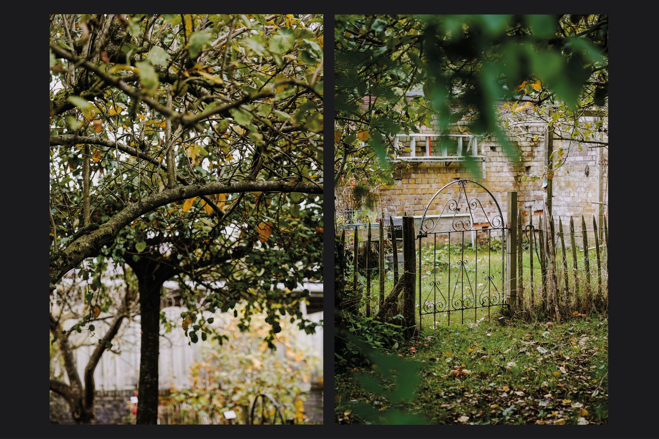 Foto 48 van Houtstraat 19