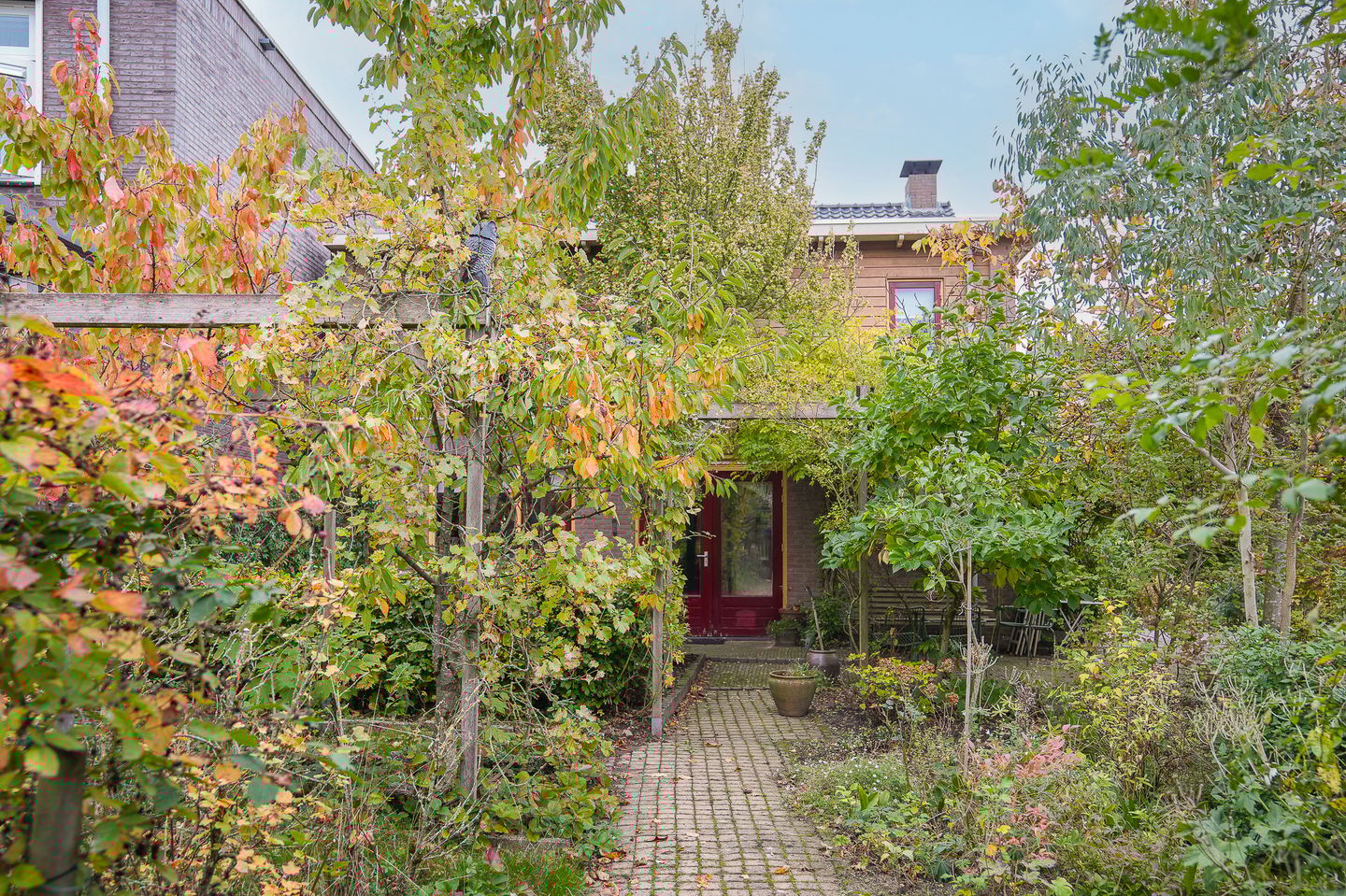 Foto 49 van Houtstraat 19