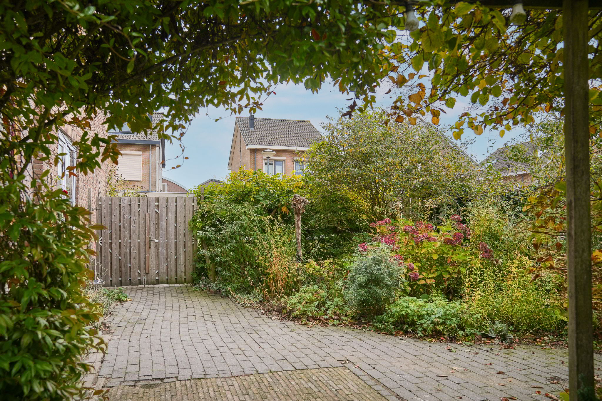 Foto 54 van Houtstraat 19