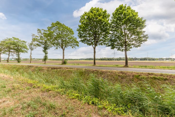 Photo 56 of Tuinderslaan 16