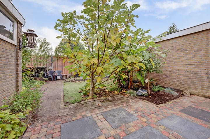 Photo 40 of Fokkestraat 16