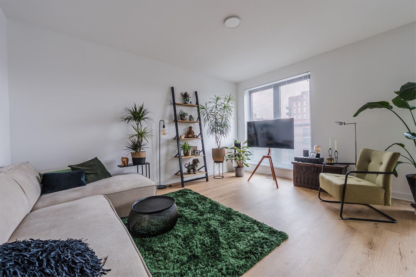 Foto 19 van Rosestraat 1123