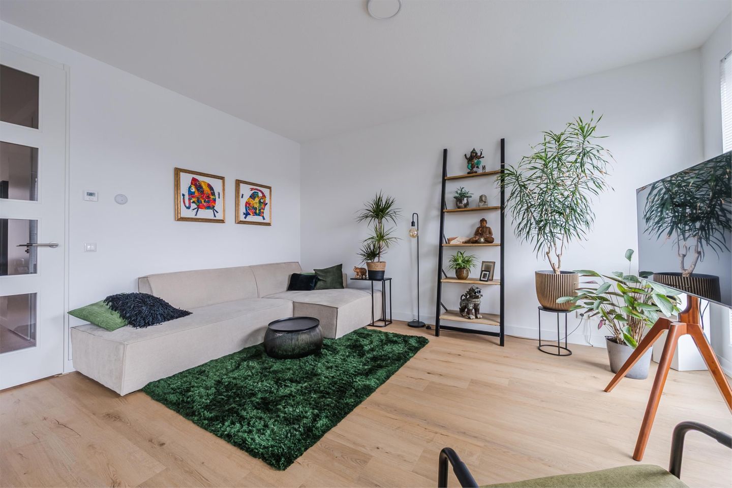 Foto 20 van Rosestraat 1123