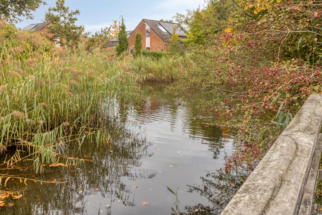 Photo 41 of Fazantenstraat 6