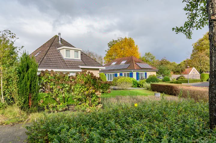 Foto 13 van de Winkelman 2