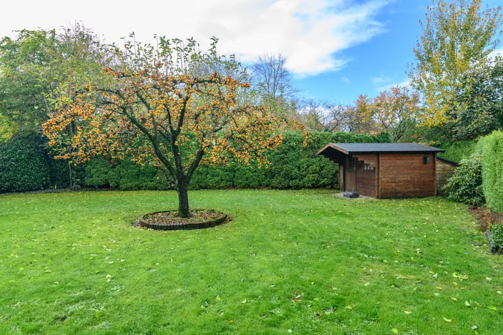 Foto 21 van de Winkelman 2