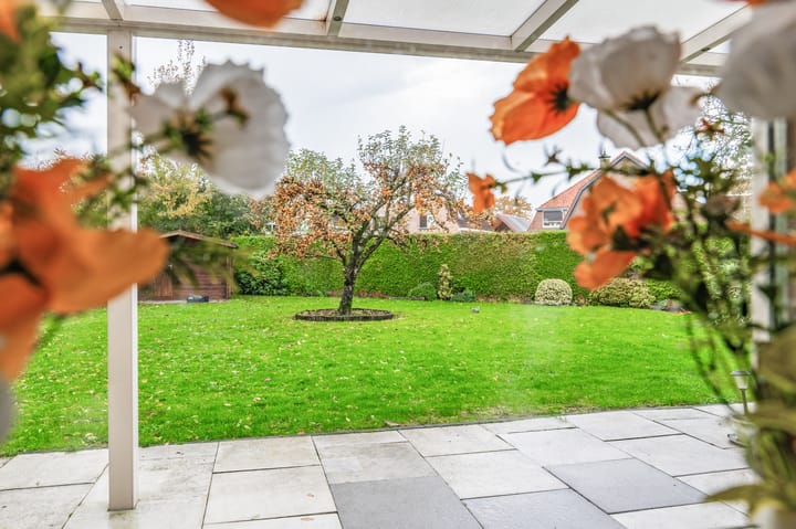 Foto 25 van de Winkelman 2