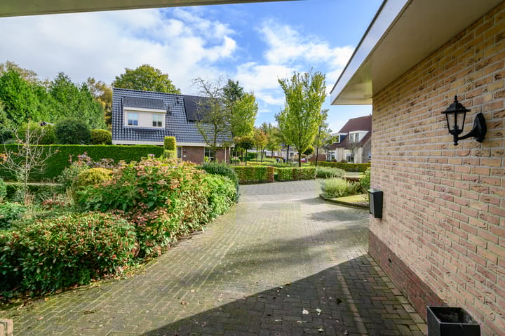 Foto 26 van de Winkelman 2