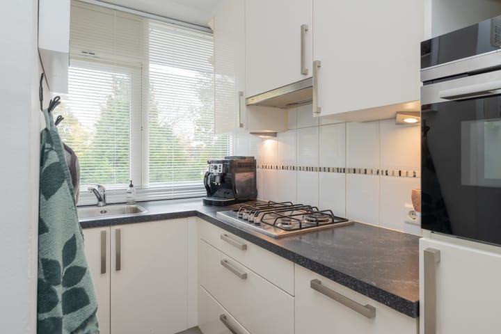 Foto 2 van Faleriolaan 205