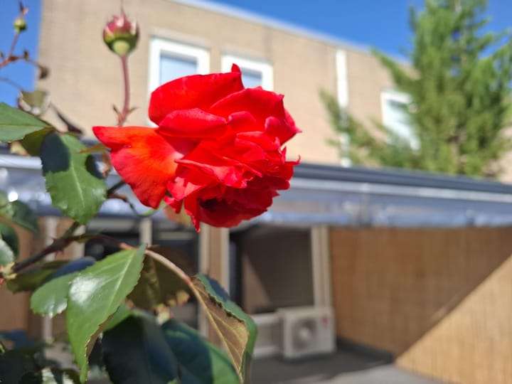 Photo 9 of Weerdesteynstraat 34