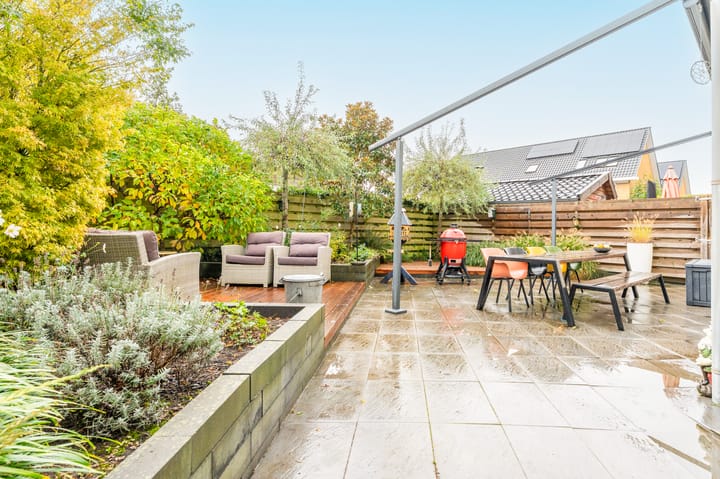 Foto 34 van Zwarte Zee 24