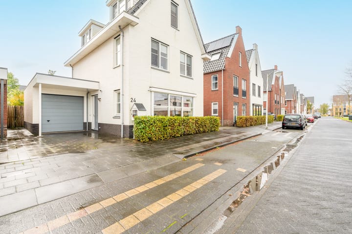 Foto 43 van Zwarte Zee 24