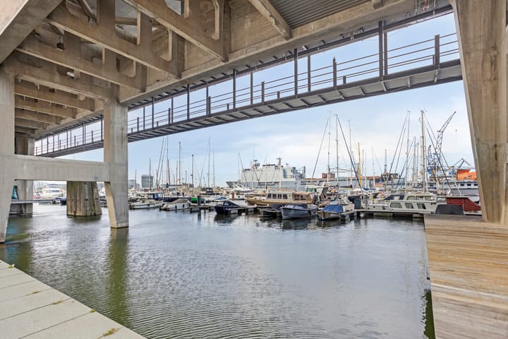 Foto 23 van ks. Ibisplantsoen 50