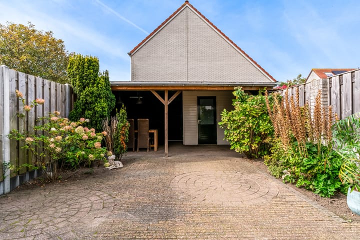 Photo 4 of Thalia 13