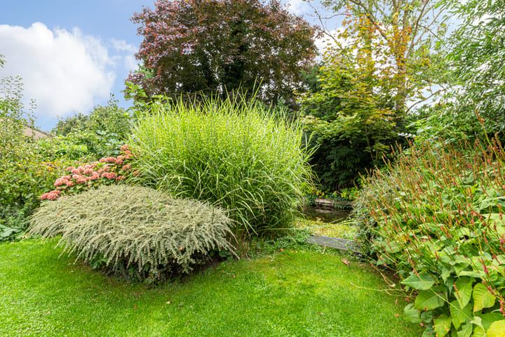 Photo 31 of Kalmoes 12