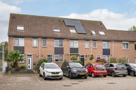 undefined main image