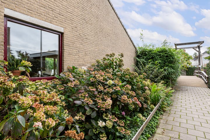 Photo 64 of Kalmoes 12