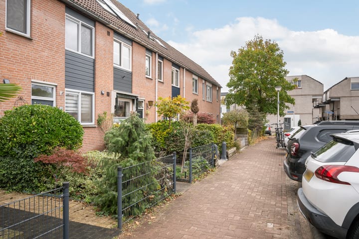 Photo 36 of Klepperdans 49