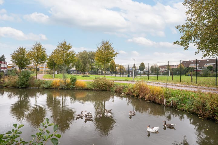 Photo 40 of Klepperdans 49