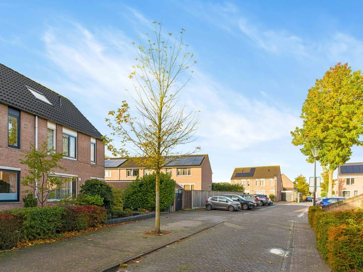 Foto 5 van Zwartmoeren 19