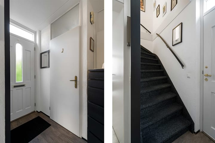 Foto 6 van Zwartmoeren 19