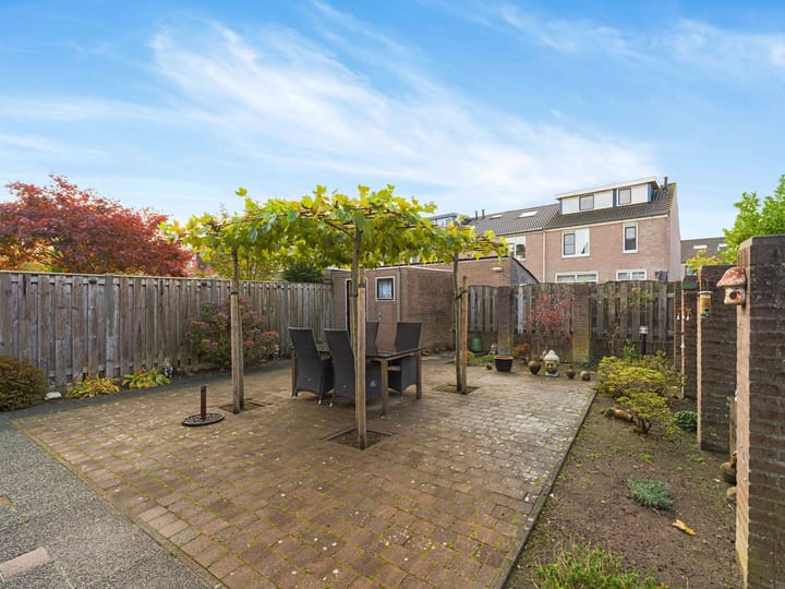 Foto 11 van Zwartmoeren 19