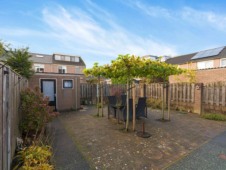 Foto 12 van Zwartmoeren 19