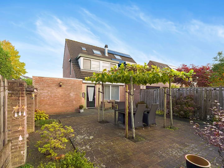 Foto 13 van Zwartmoeren 19