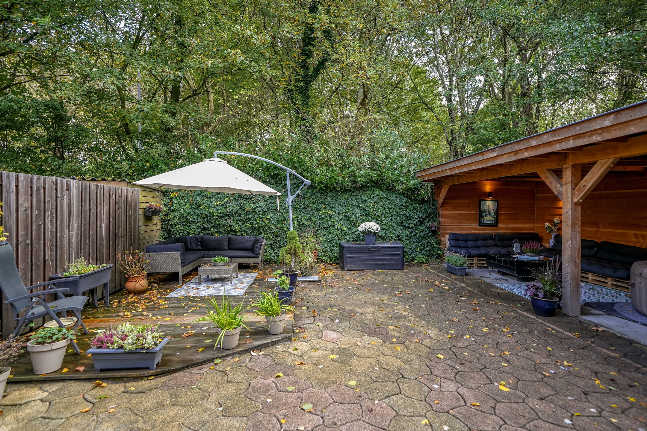 Foto 6 van Cantecleerpad 12