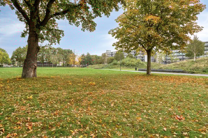 Foto 46 van Cosunpark 1-E3