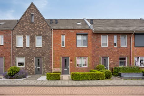 undefined main image