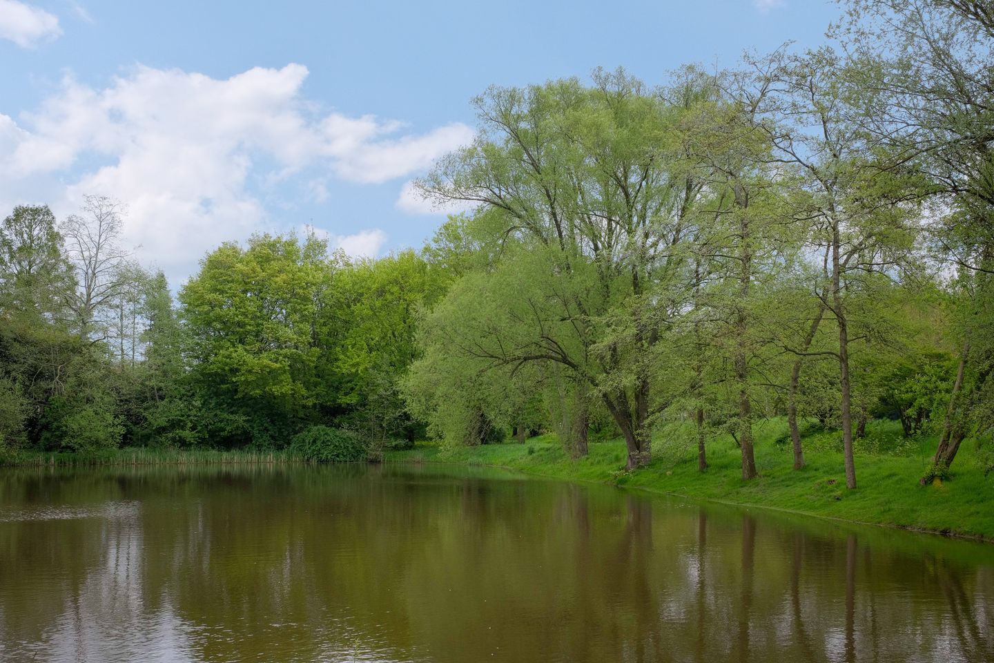 Photo 34 of Beethovenlaan 185