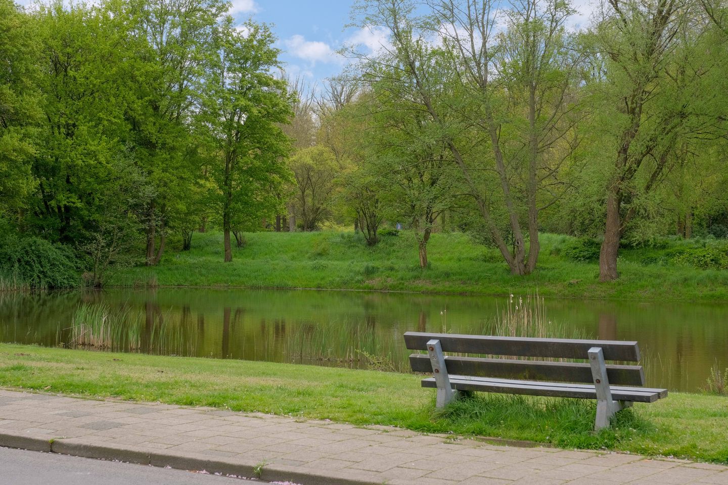 Photo 35 of Beethovenlaan 185