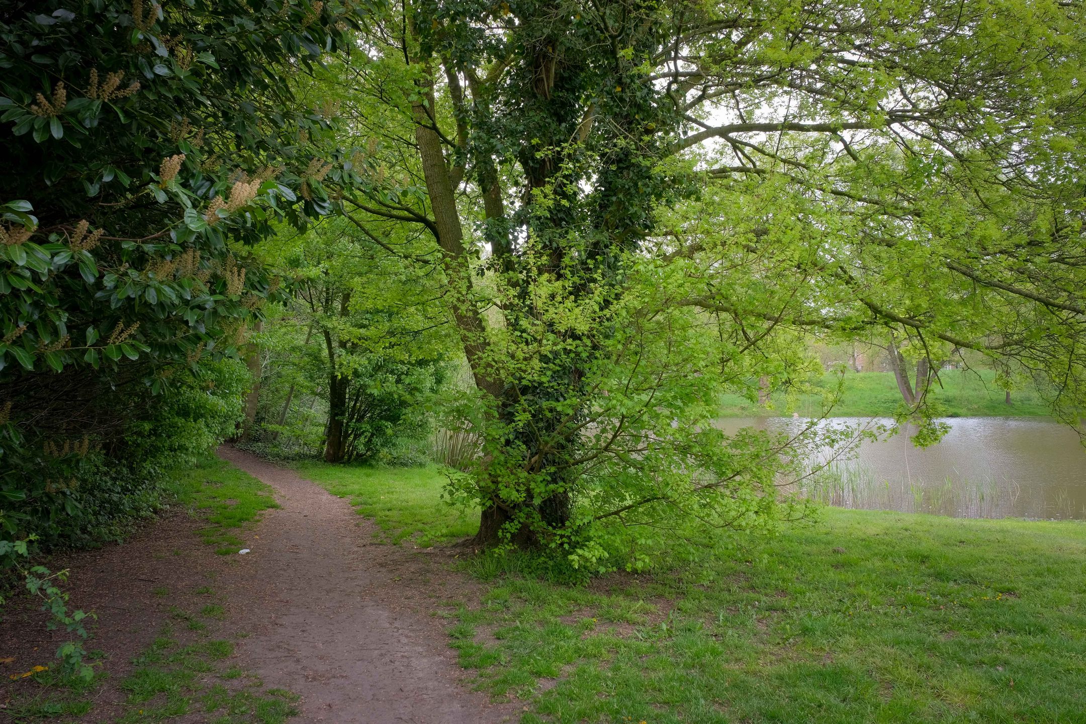 Photo 36 of Beethovenlaan 185