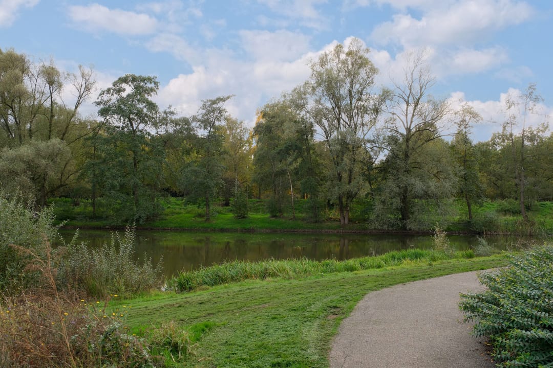 Photo 37 of Beethovenlaan 185