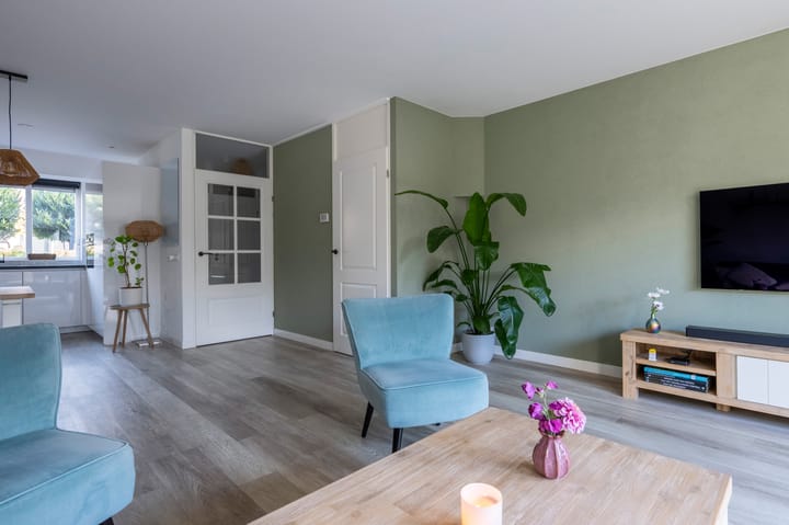 Foto 5 van Drieteenspecht 6